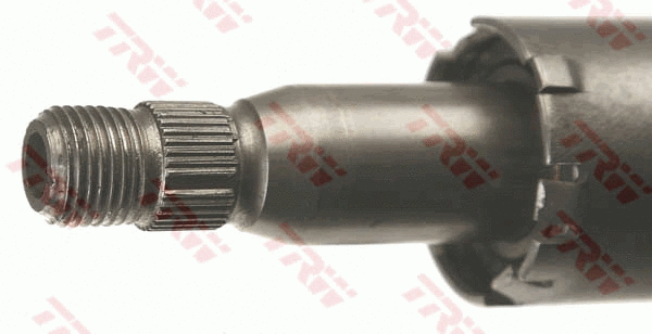 Steering Column