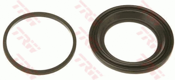 Repair Kit, brake caliper (SP9993)
