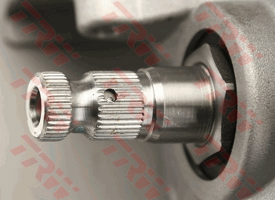 Steering Column