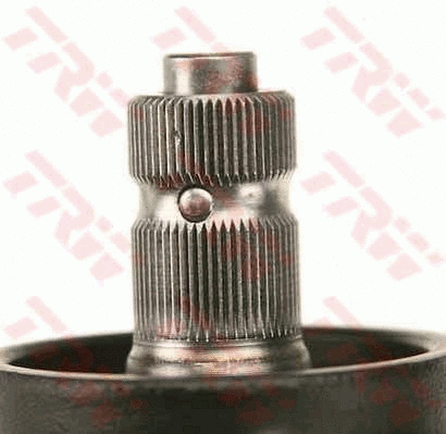Steering Gear