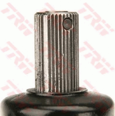 Steering Gear