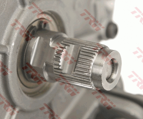 Steering Column