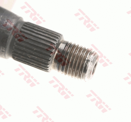 Steering Column