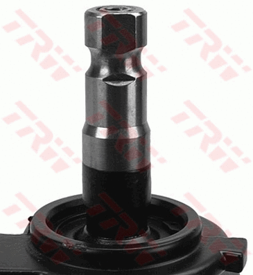 Steering Gear
