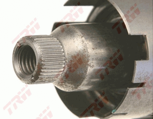 Steering Column