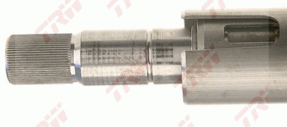 Steering Column