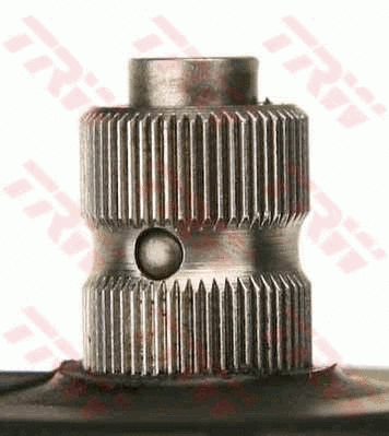Steering Gear