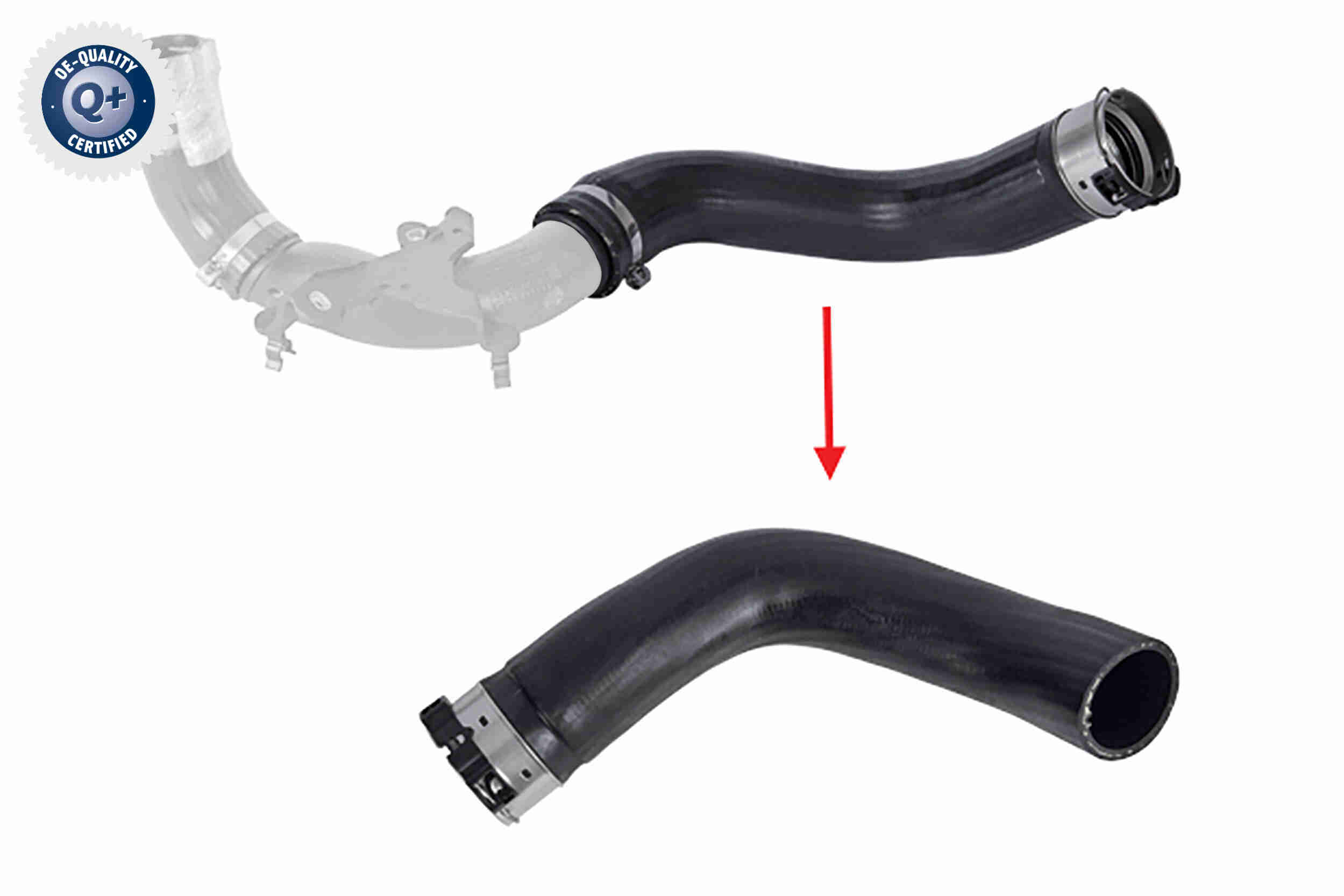 Charge Air Hose