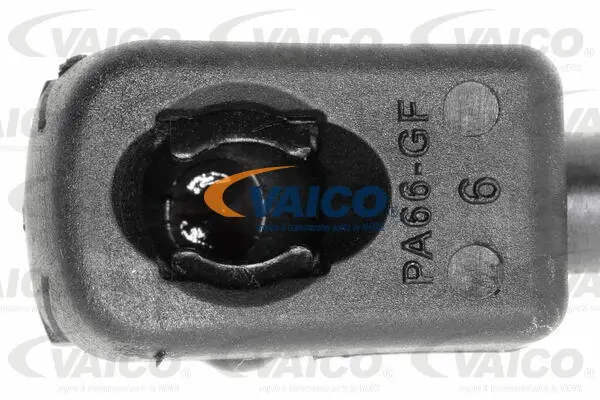 Gas Spring, boot/cargo area