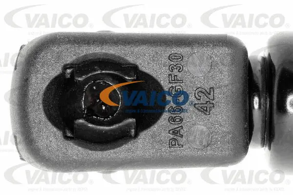 Gas Spring, boot/cargo area