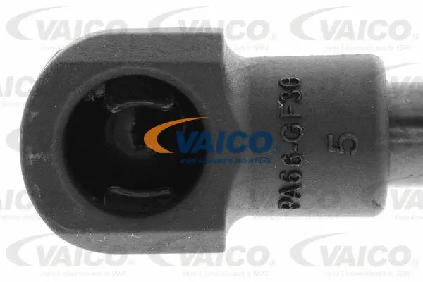 Gas Spring, boot/cargo area