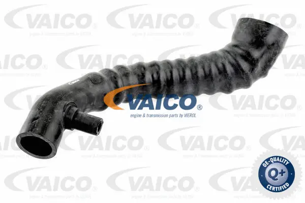 Charge Air Hose