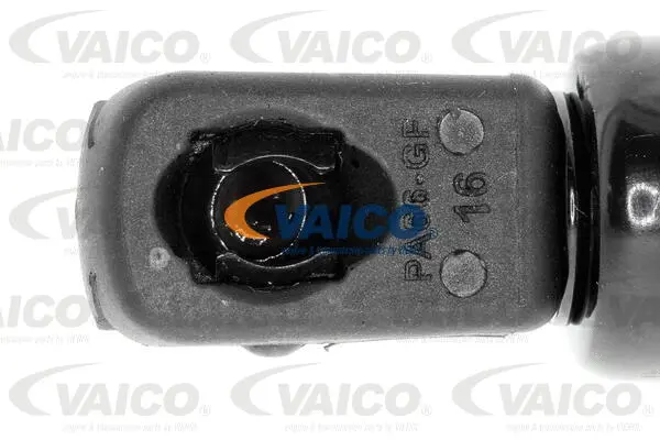 Gas Spring, boot/cargo area
