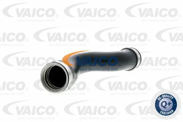 Charge Air Hose