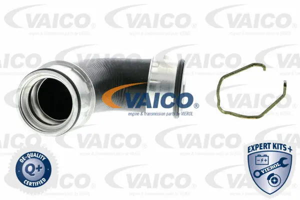 Charge Air Hose
