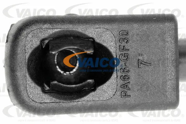 Gas Spring, boot/cargo area