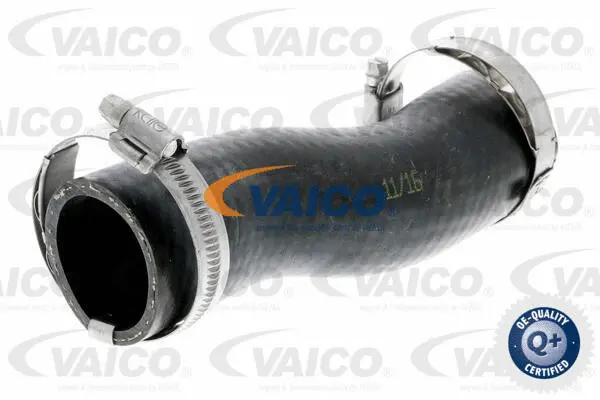 Charge Air Hose