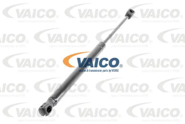 Gas Spring, boot/cargo area