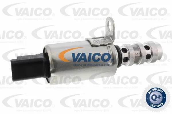Control Valve, camshaft adjustment