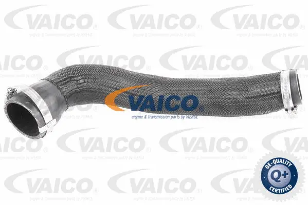 Charge Air Hose