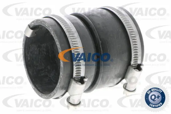 Charge Air Hose