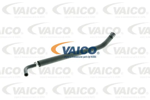 Hose, crankcase ventilation