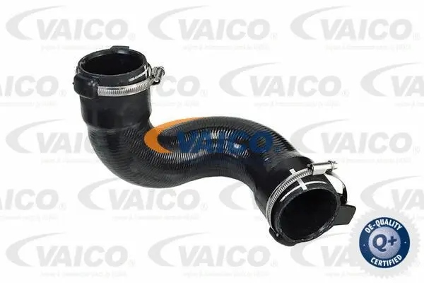 Charge Air Hose