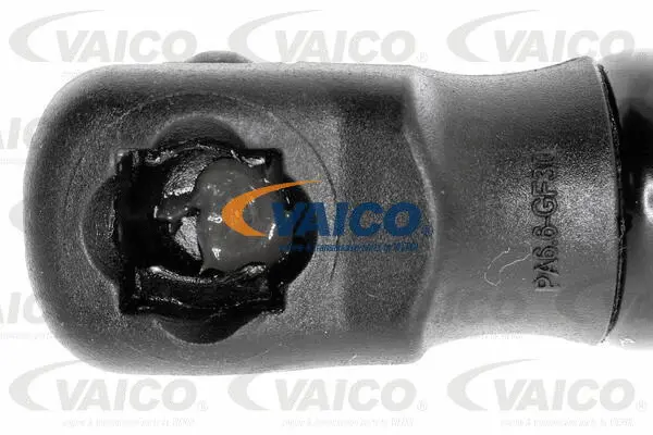 Gas Spring, boot/cargo area