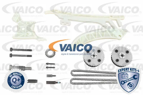Timing Chain Kit