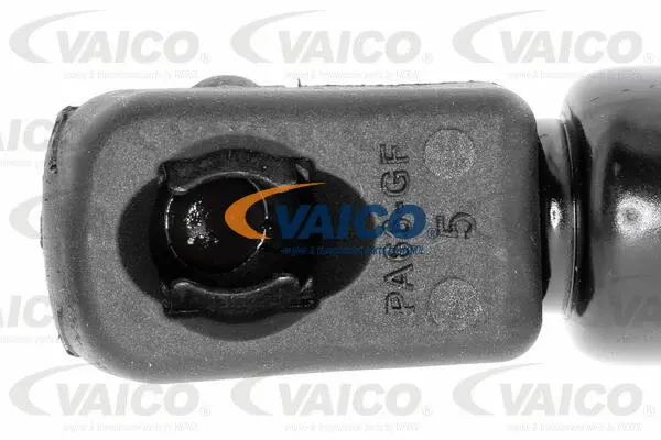 Gas Spring, bonnet
