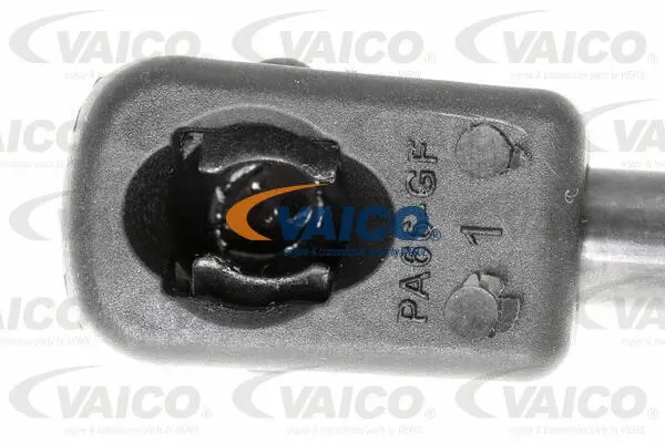 Gas Spring, boot/cargo area