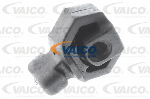 Bracket, muffler