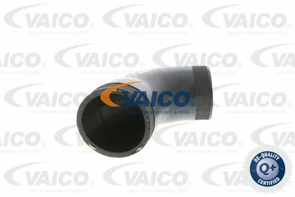Charge Air Hose