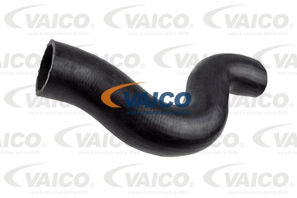 Charge Air Hose