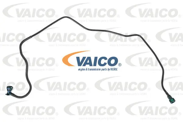 Fuel Line