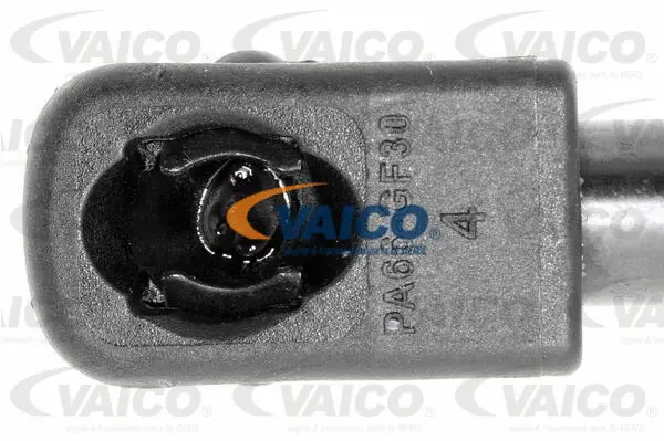 Gas Spring, boot/cargo area