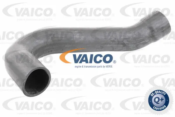 Charge Air Hose