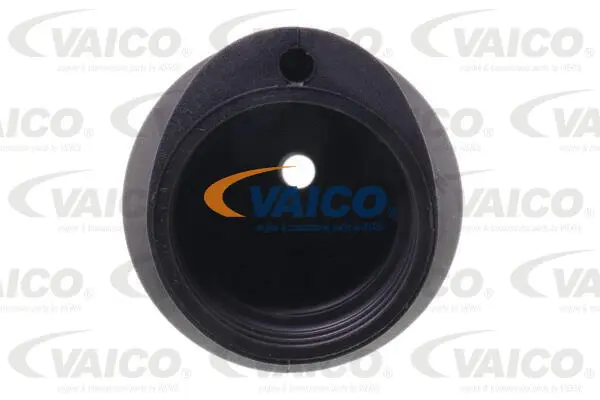 Bellow, steering