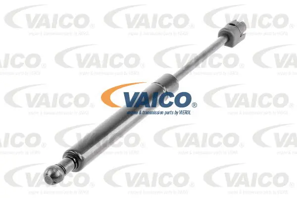 Gas Spring, boot/cargo area