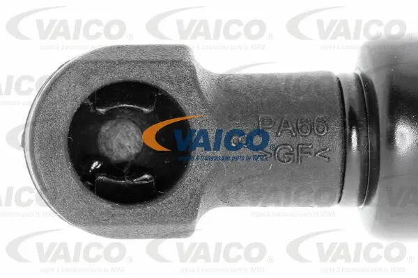 Gas Spring, boot/cargo area