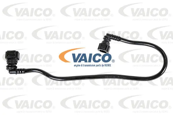 Fuel Line
