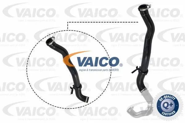 Charge Air Hose