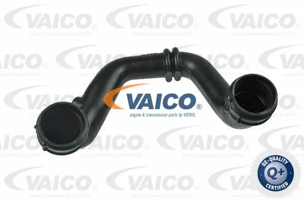 Charge Air Hose