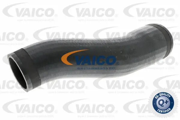 Charge Air Hose