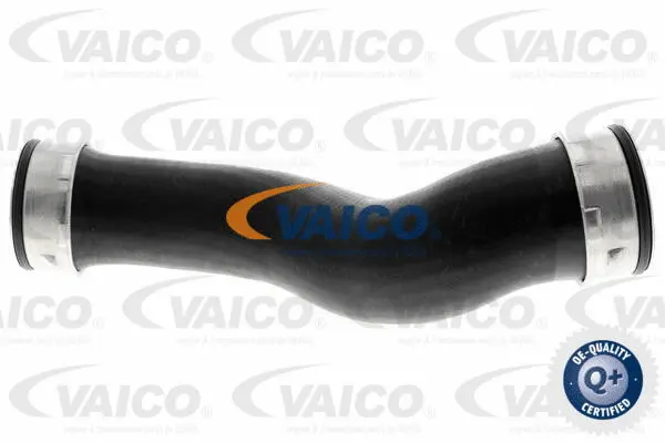 Charge Air Hose