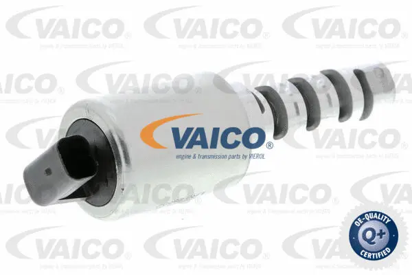 Control Valve, camshaft adjustment
