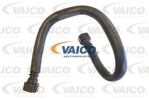 Fuel Line