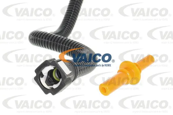 Fuel Line
