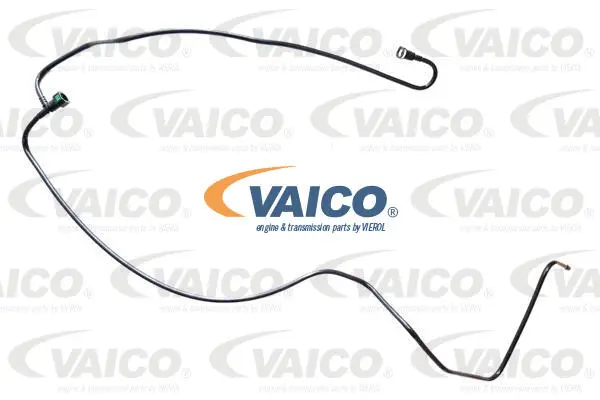 Fuel Line