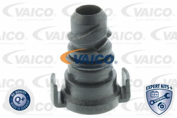 Screw Plug, oil sump (V25-1293)